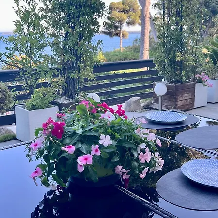 Eden Sea * Cannes