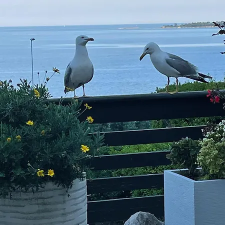 Holiday home Eden Sea Cannes